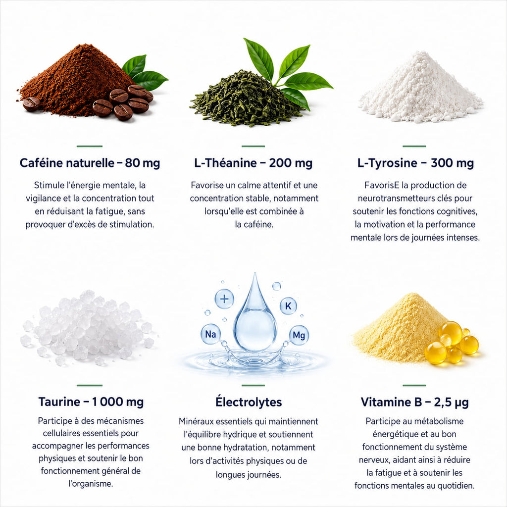 IGNITE - Energie & Focus